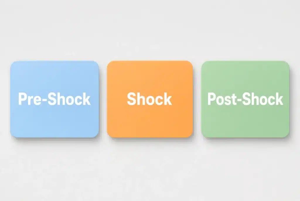 Diagram showing the three training phases of the Vert Shock program